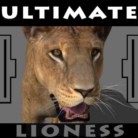 the ultimate lioness 3D Модель .c4d .max .obj .3ds .fbx .stl .blend 