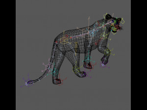 the ultimate lioness 3D Модель