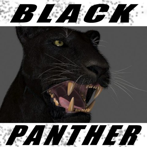 black panther Modèle 3D .c4d .max .obj .3ds .fbx .stl .blend 