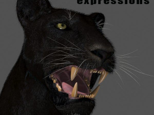 black panther Modèle 3D