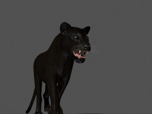 black panther Modèle 3D