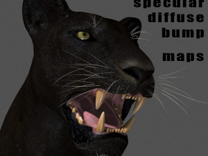 black panther Modèle 3D