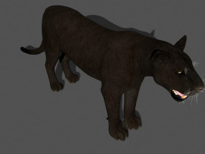 black panther Modèle 3D