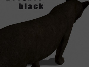 black panther Modèle 3D
