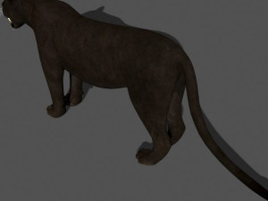 black panther Modèle 3D