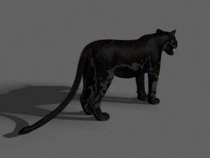 black panther Modèle 3D