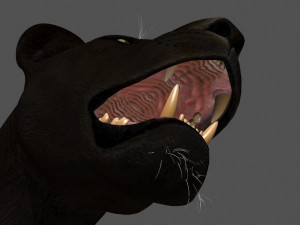 black panther Modèle 3D