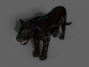 black panther Modèle 3D