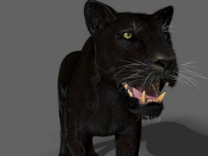 black panther Modèle 3D
