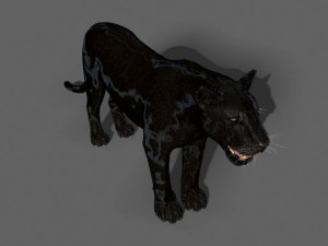 black panther Modèle 3D