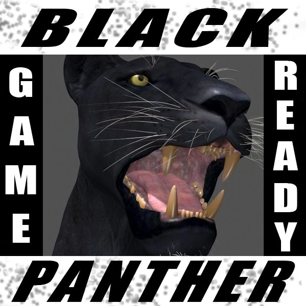 panther no fur 3D Model .c4d .max .obj .3ds .fbx .stl .blend 