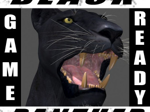 panther no fur 3D Model