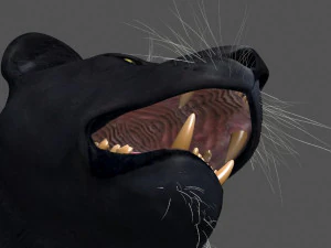panther no fur 3D Model