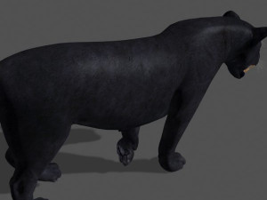 panther no fur 3Dモデル