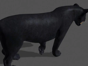 panther no fur 3D Model