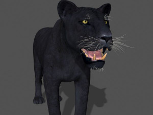 panther no fur 3Dモデル