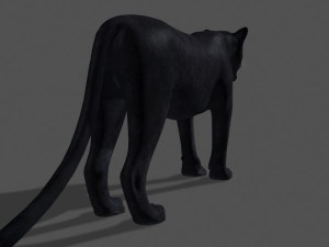 panther no fur 3Dモデル