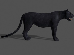 panther no fur 3Dモデル