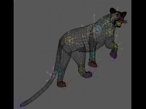 panther no fur 3D Model