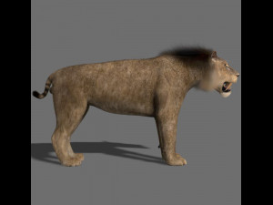 sabretooth Modello 3D