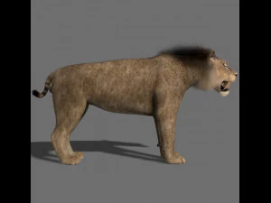 सेबरटूथ 3D मॉडल