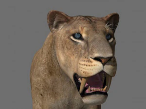 सेबरटूथ 3D मॉडल