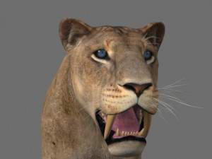 sabretooth Modello 3D