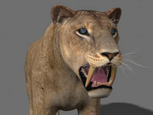 सेबरटूथ 3D मॉडल