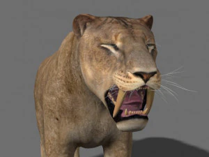 सेबरटूथ 3D मॉडल