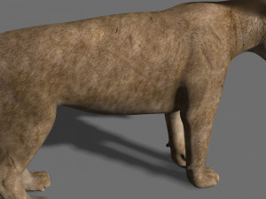 sabretooth Modello 3D