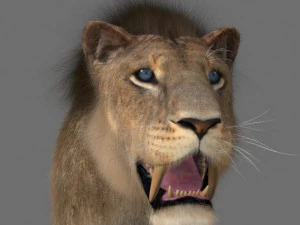 सेबरटूथ 3D मॉडल