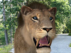 सेबरटूथ 3D मॉडल