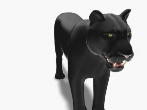feline panther 3D Model