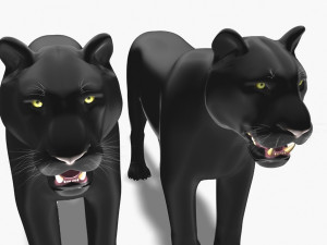 feline panther Model 3D
