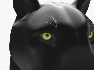feline panther Model 3D