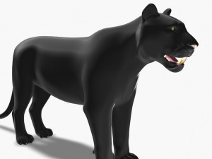 feline panther Model 3D