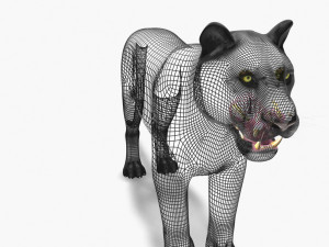 feline panther Model 3D