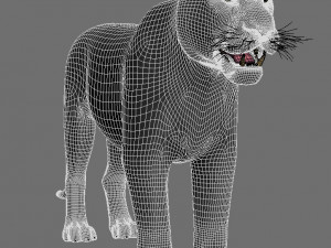 feline panther Model 3D