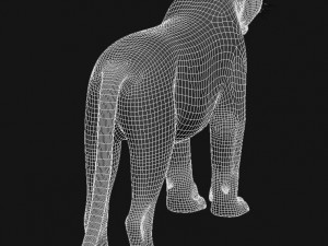 feline panther Model 3D