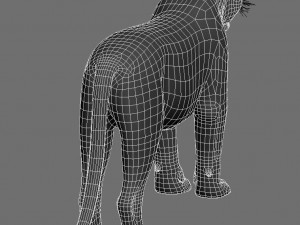 feline panther Model 3D