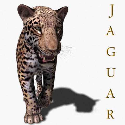 realistic jaguar no fur Modelo 3D .c4d .max .obj .3ds .fbx .stl .blend 