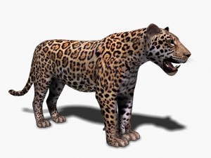 realistic jaguar no fur Modelo 3D
