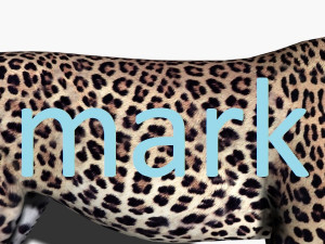 realistic leopard no fur Modèle 3D