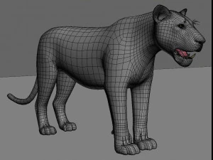 realistic leopard no fur 3D Model