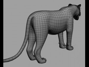 realistic leopard no fur Modèle 3D