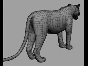 realistic leopard no fur 3D Model