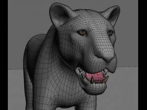 realistic leopard no fur Modèle 3D