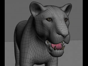 realistic leopard no fur 3D Model