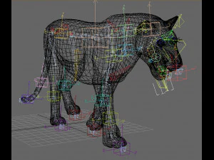 realistic leopard no fur 3D Model