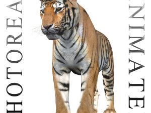 the ultimate cgi tiger 3D Model